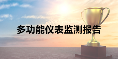多功能仪表监测报告